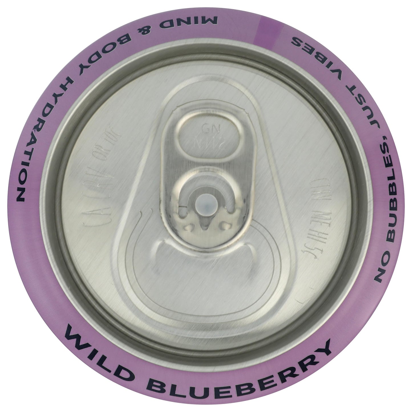 Leisure Hydration, Refresher EleCountrolyte Wild Blueberry, 16 Fl Oz