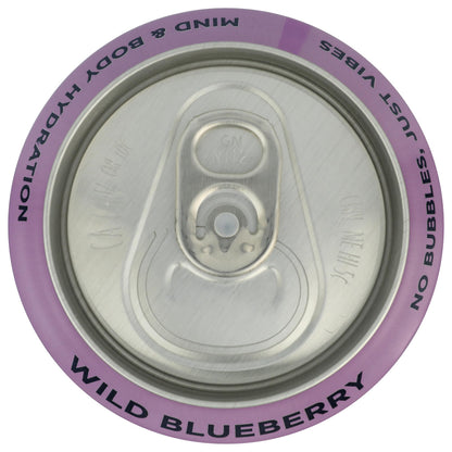 Leisure Hydration, Refresher EleCountrolyte Wild Blueberry, 16 Fl Oz