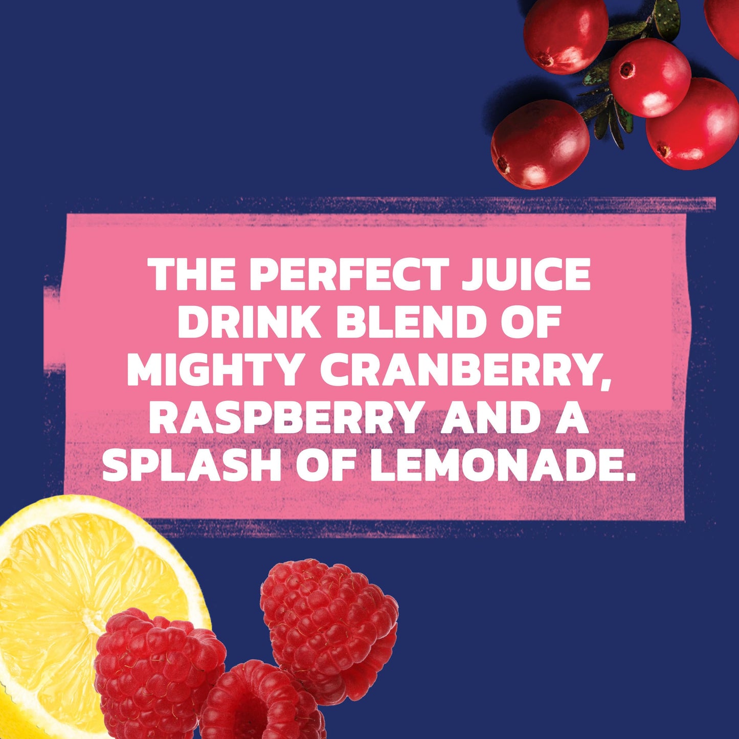 Ocean Spray® Cran-Raspberry Lemonade™ Cranberry Raspberry Lemonade Juice Drinks, 10 Fl Oz Bottles, 6 Count (Pack of 2)