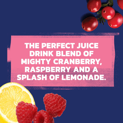 Ocean Spray® Cran-Raspberry Lemonade™ Cranberry Raspberry Lemonade Juice Drinks, 10 Fl Oz Bottles, 6 Count (Pack of 2)