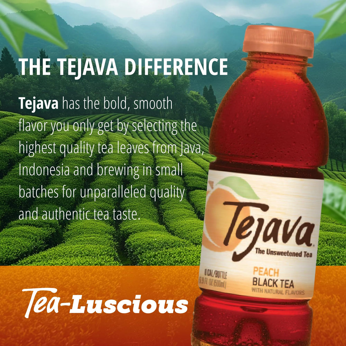 Tejava Unsweetened Peach Iced Tea, 16.9 Ounce PET Bottles, Natural, Non-GMO-Verified, Rainforest Alliance-Certified (12 Pack)