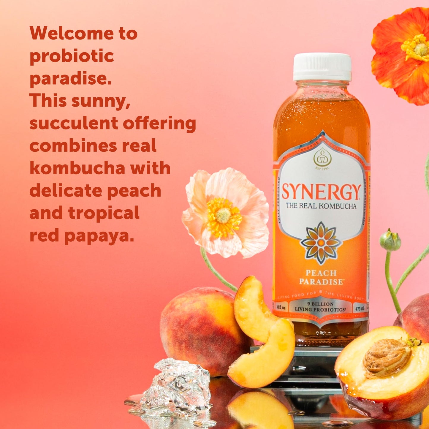 SYNERGY The Real Kombucha - Peach Paradise - 16 fl oz Bottle - Raw Probiotic Drink for Gut Health and Immune Support