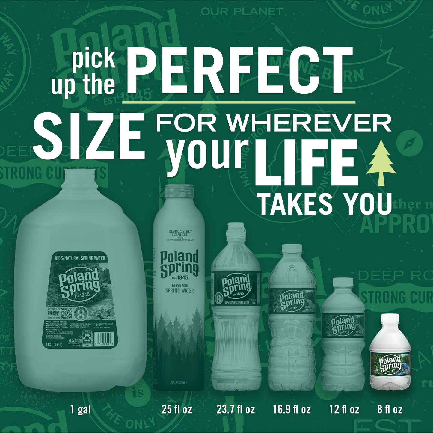 Poland Spring Maine Spring Water Bottles, 48 Pack – Crisp, Still Bottled Water with Naturally Balanced Occurring Minerals & Electrolytes for Taste - 8 Fl Oz