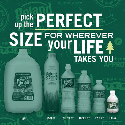 Poland Spring Maine Spring Water Bottles, 48 Pack – Crisp, Still Bottled Water with Naturally Balanced Occurring Minerals & Electrolytes for Taste - 8 Fl Oz
