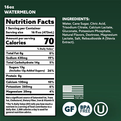 HOIST Premium Military Hydration Electrolyte Drink, Powerful IV-Level Hydration, Clinically Proven Performance Drink, Watermelon, 16 Fl Oz (Pack of 12)