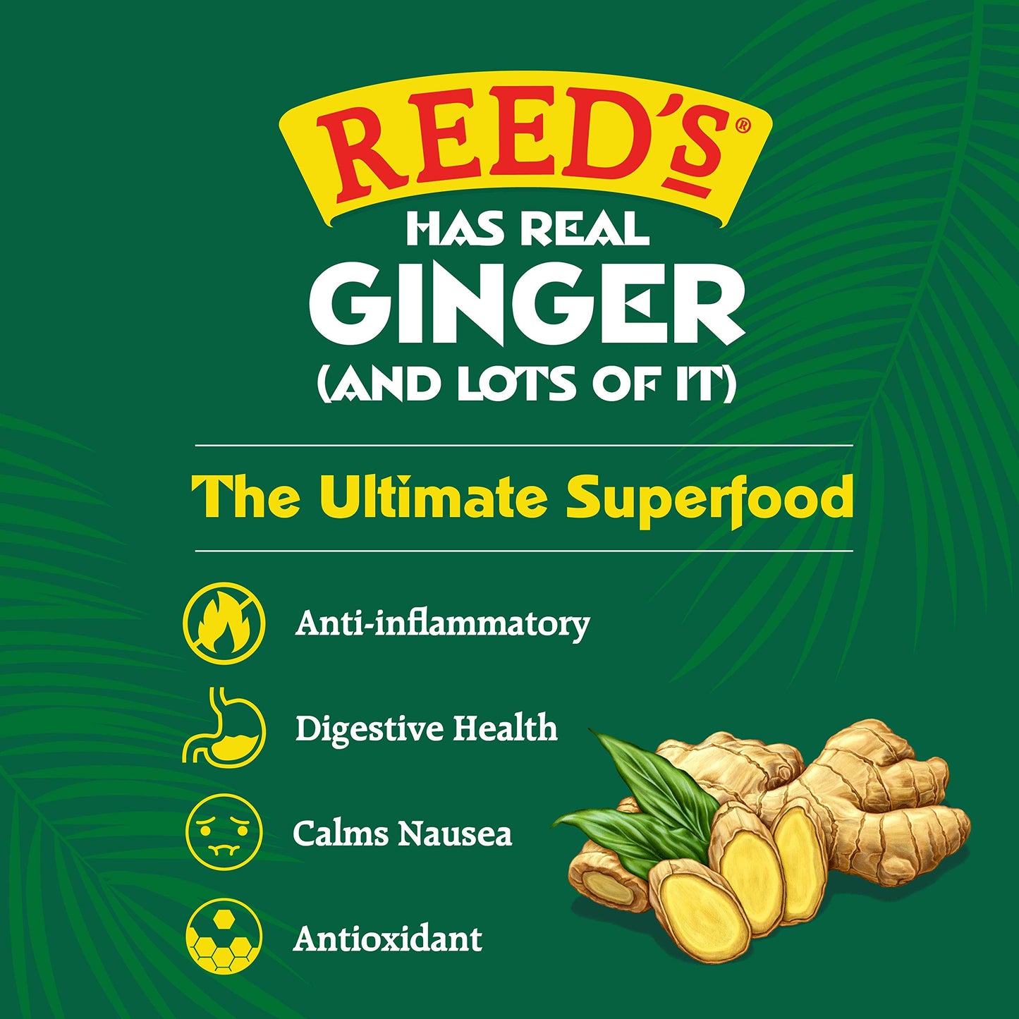Reed's, Original Ginger Beer, Great Tasting All Natural Craft Ginger Beer with Fresh Ginger Root (12OZ Bottle)