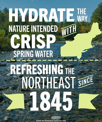 Spring Water 48 Pack - Mini Water Bottles - 8 Fl Oz.