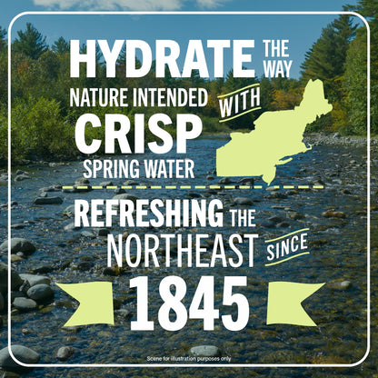 Poland Spring Maine Spring Water Bottles, 1 Gallon Jug – Still Bottled Water with Naturally Occurring Minerals