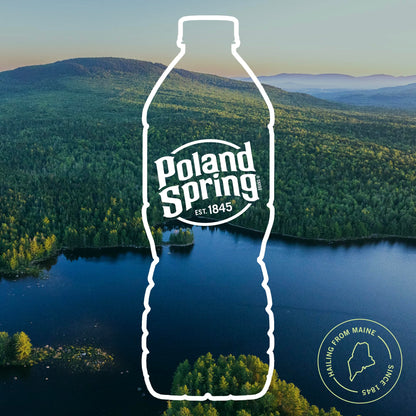 Poland Spring Maine Spring Water Bottles, 24 Pack – Crisp, Still Bottled Water with Naturally Balanced Occurring Minerals & Electrolytes for Taste - 16.9 Fl Oz