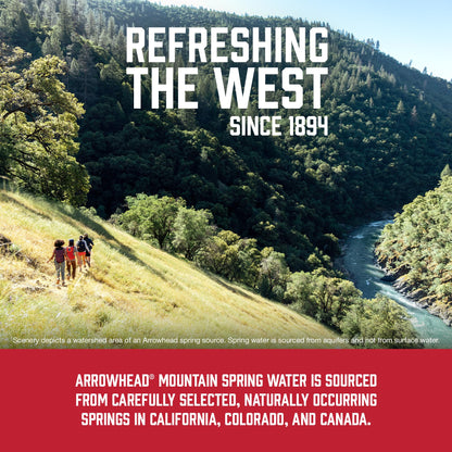 Arrowhead Mountain Spring Water Bottles, 12 Pack - Still Bottled Water with Naturally Occurring Minerals & Electrolytes for Taste - 8 Fl Oz
