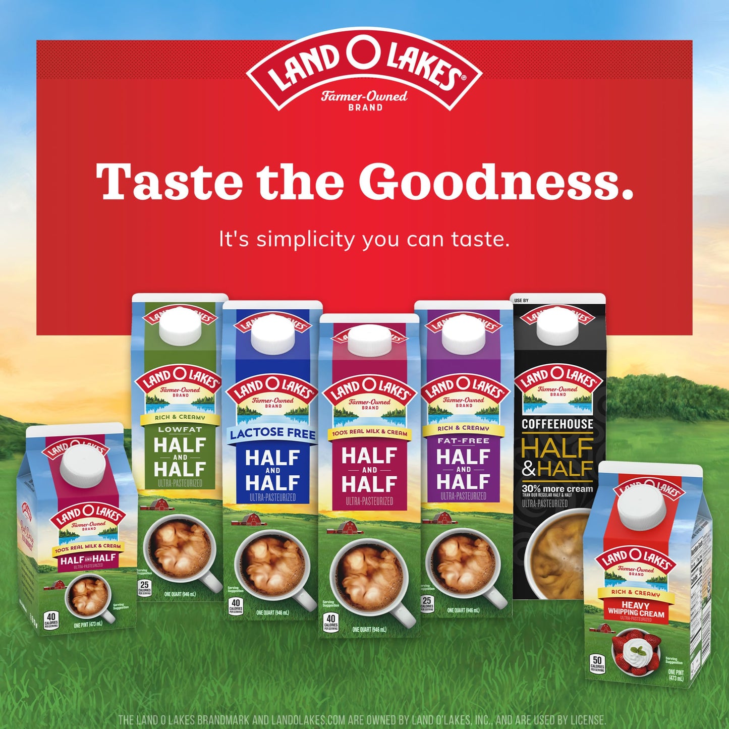 Land O Lakes Half And Half, Traditional, Coffee Creamer, 1 Quart