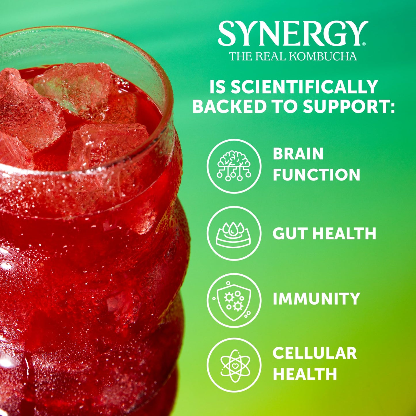 SYNERGY The Real Kombucha Trilogy Kombucha - 16 fl oz Bottle - Raw Probiotic Drink for Gut Health and Immune Support