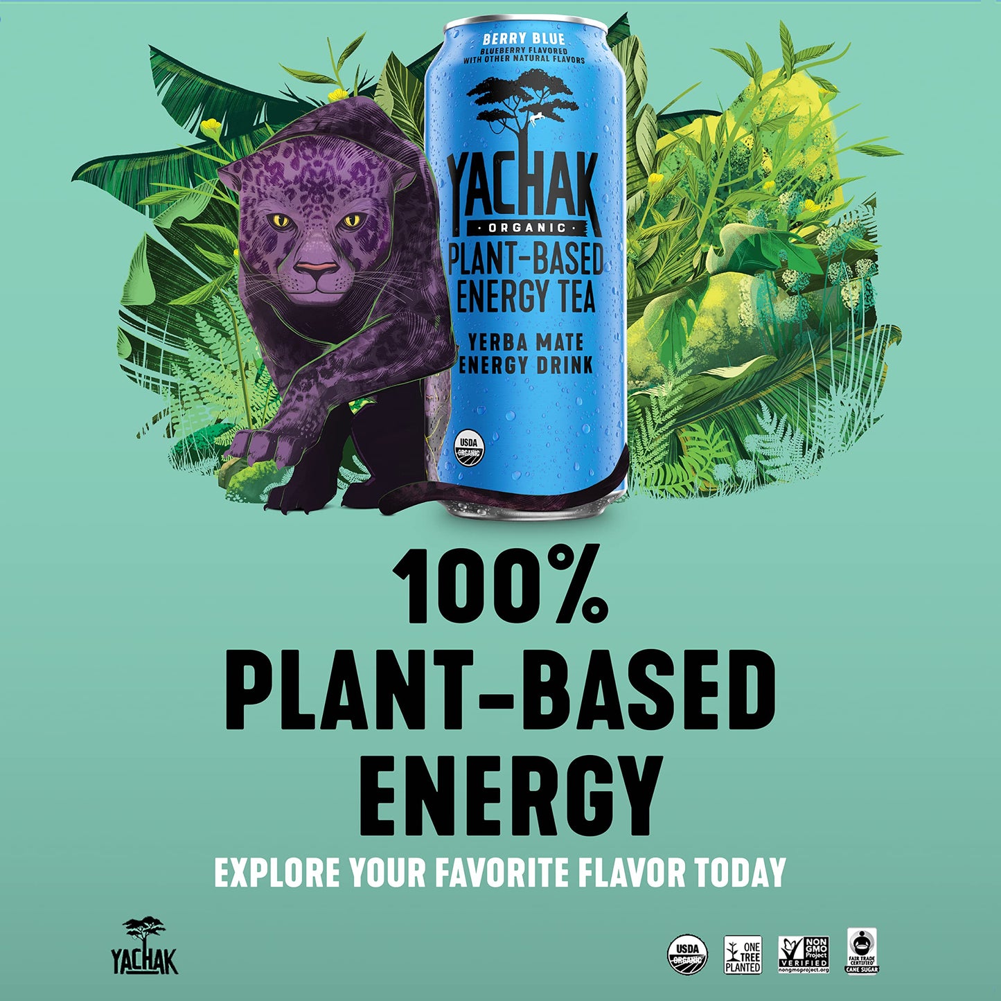 Yachak Yerba Mate, Berry Blue, 16 Oz, Pack of 12