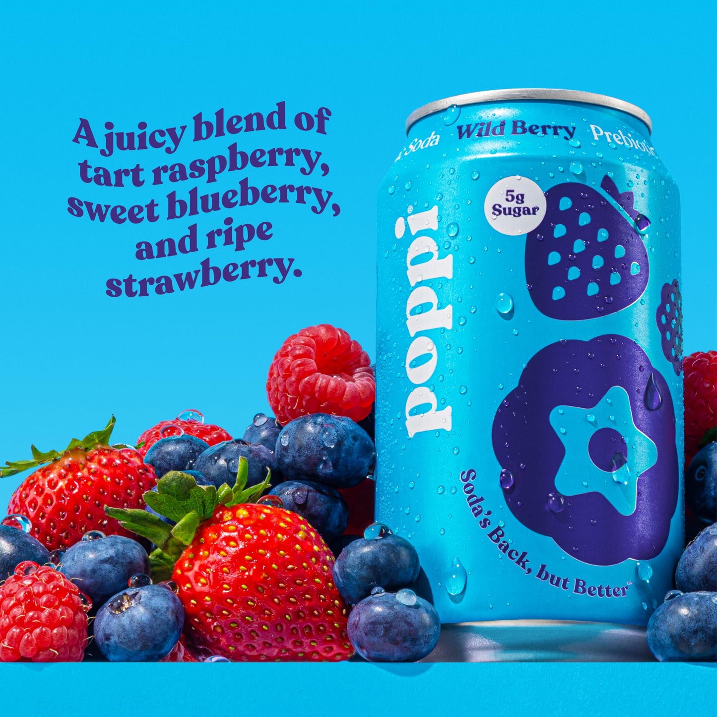 Poppi Sparkling Prebiotic Soda Beverage with Apple Cider Vinegar, Seltzer Water and Fruit Juice, Wild Berry Flavor, 12 oz, Pack of 12, Packaging May Vary.