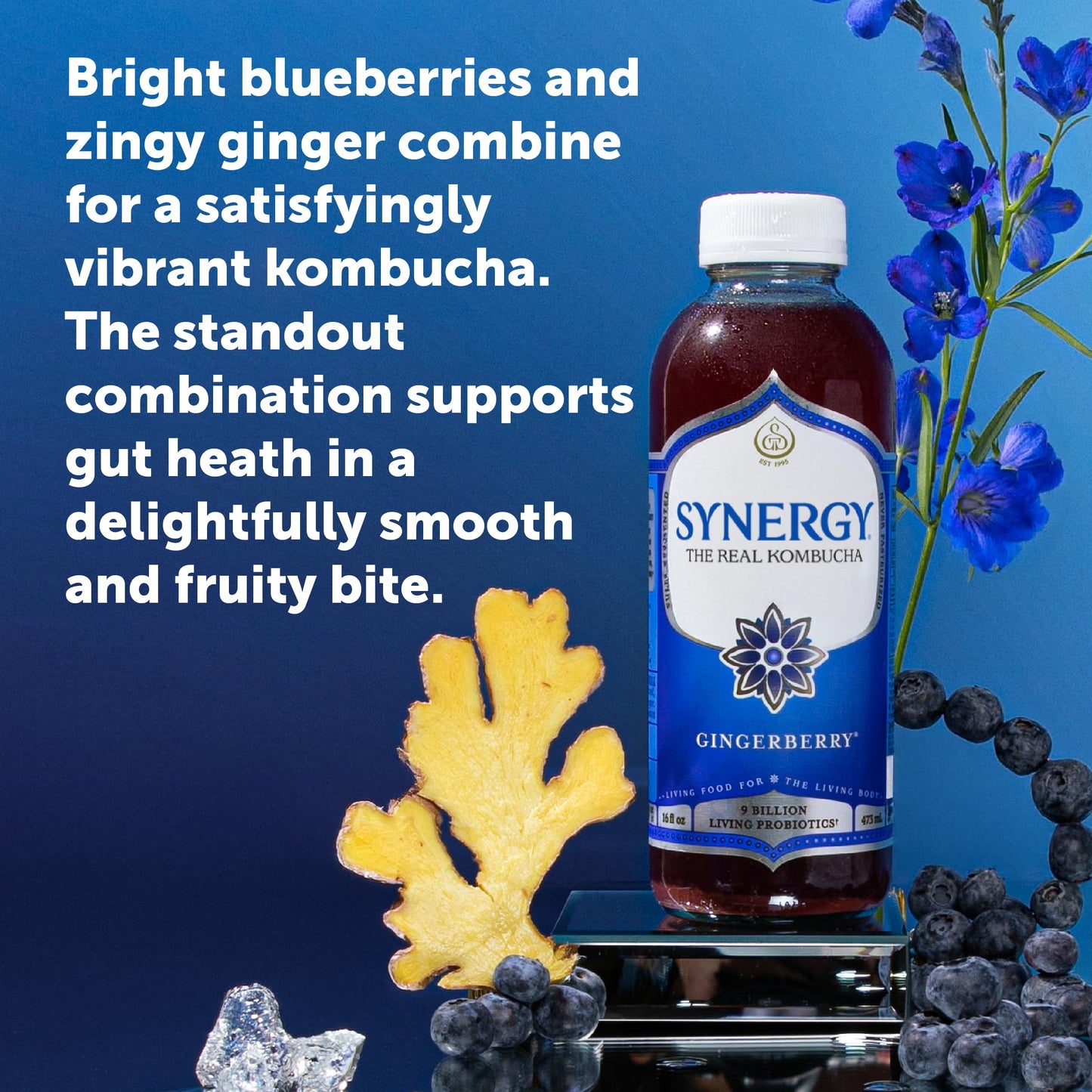 SYNERGY The Real Kombucha - Gingerberry - 16 fl oz Bottle - Raw Probiotic Drink for Gut Health and Immune Support