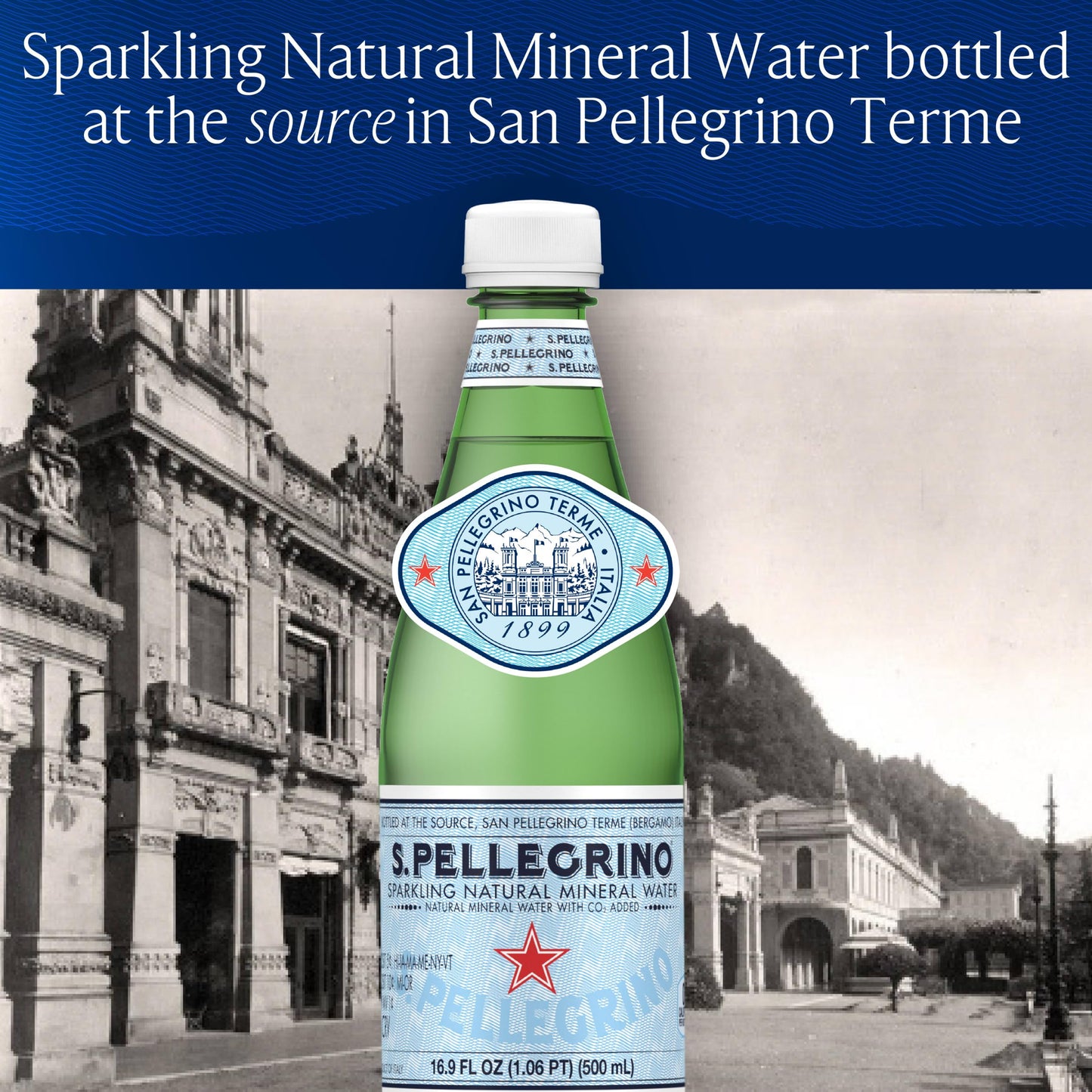 SAN PELLEGRINO NATURAL SPRK MINERAL WATER PLASTIC BOTTLE 1 CT 33.8 Fl Oz (Pack of 1)