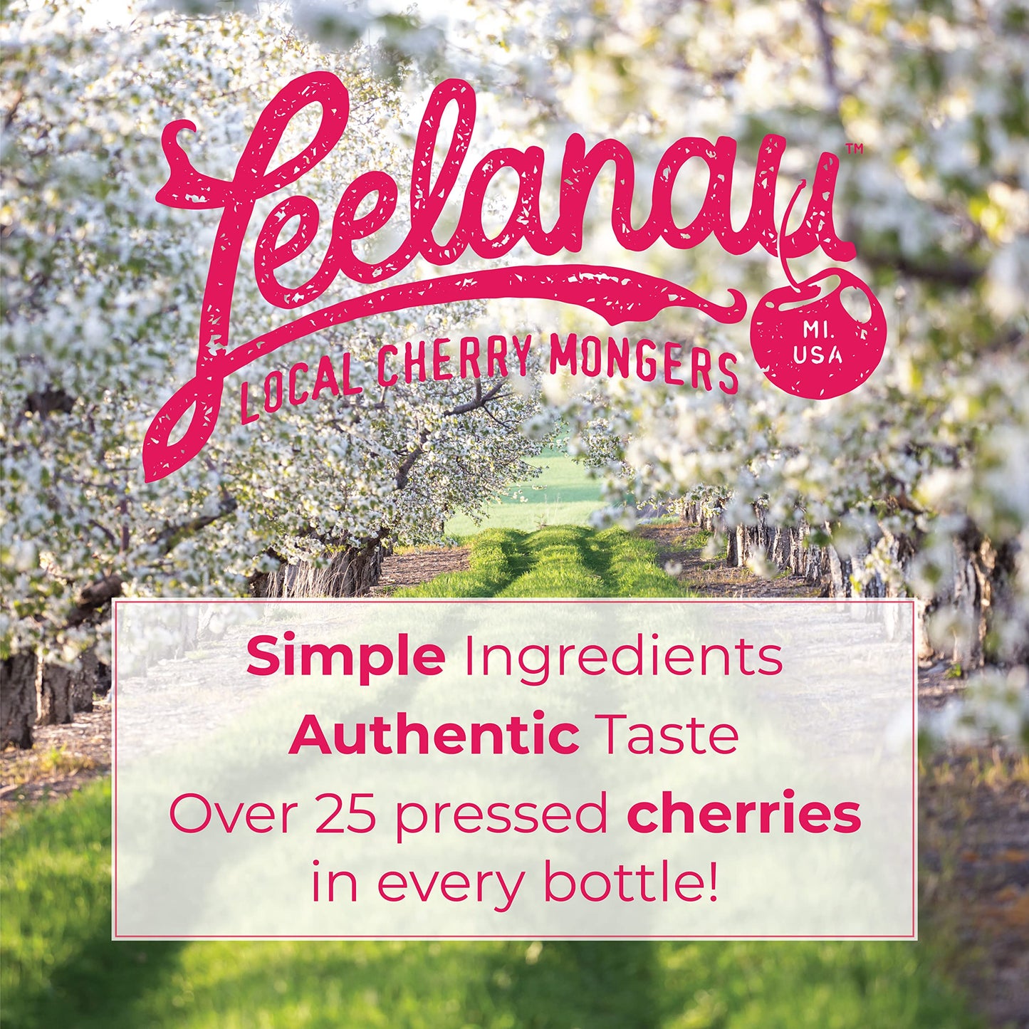 Leelanau Cherry Sweet Iced Tea, 16 fl oz (Pack of 12)